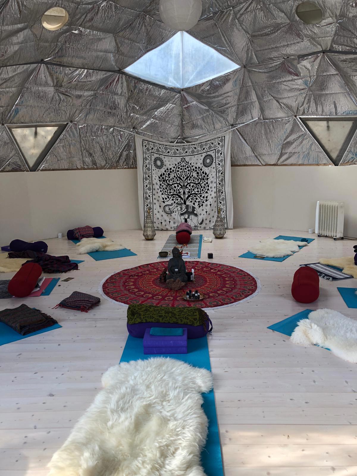 50m² Glamping Yoga Dome Ø8m | Hagal farm, Coomleagh, Ireland