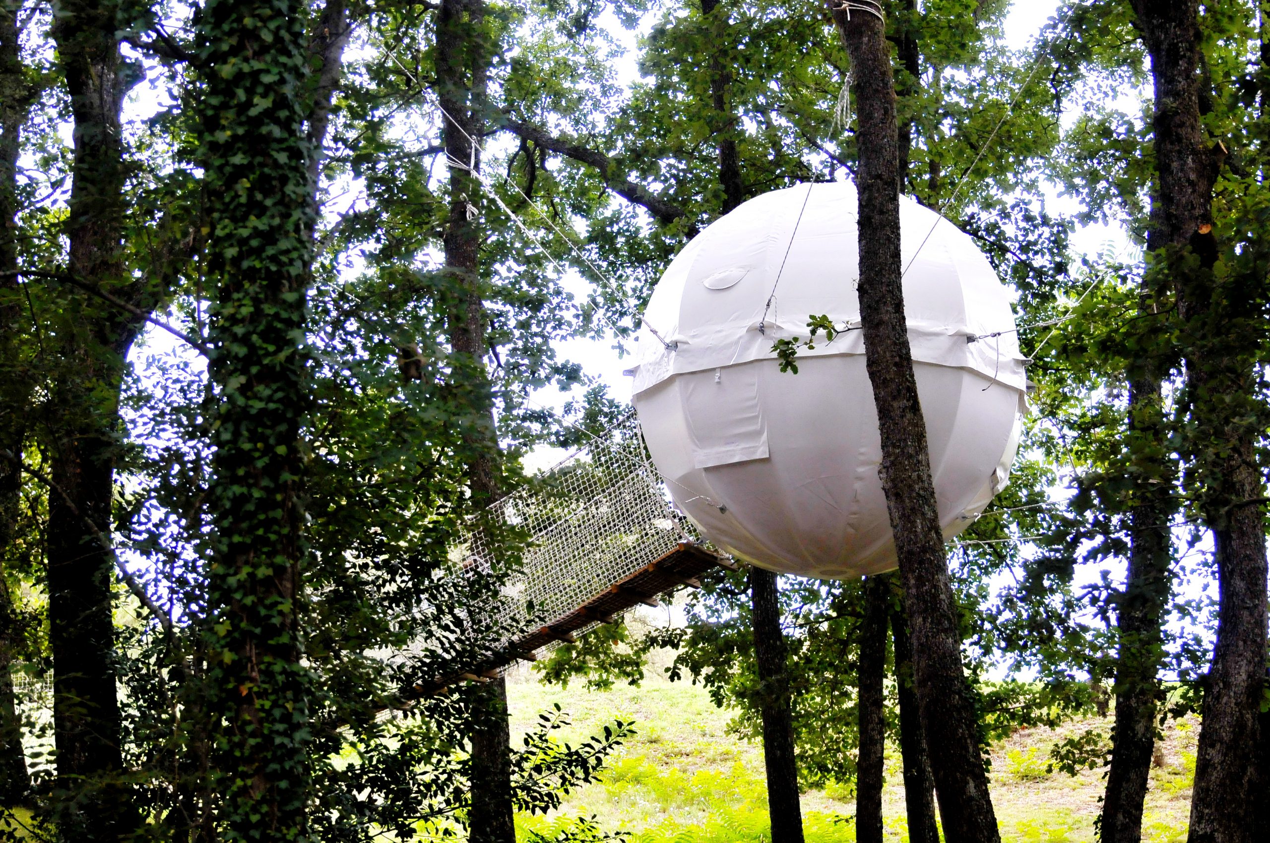 5m2 Cocoon Tree House O2 5m Modern Glamping Resort Welcome to Geodomas Engineering